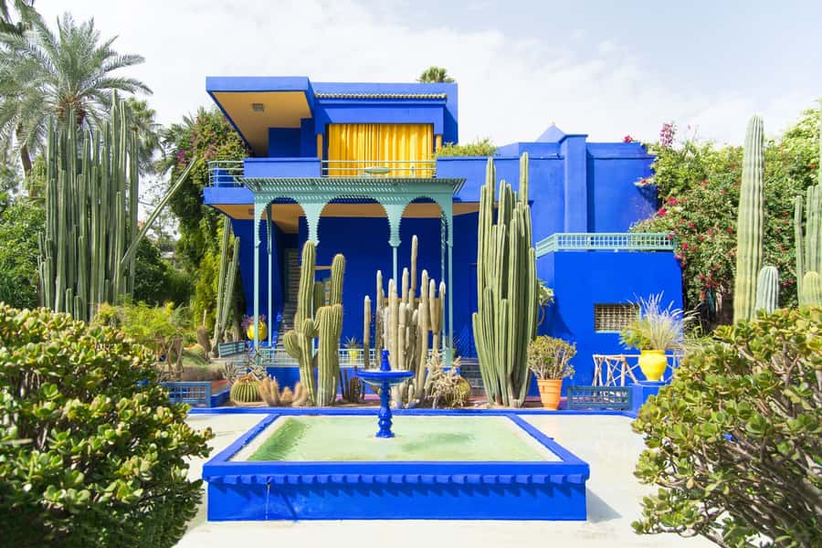 From Taghazout or Agadir: Marrakech Guided Day Trip - Price and value: why $38 can be a smart buy