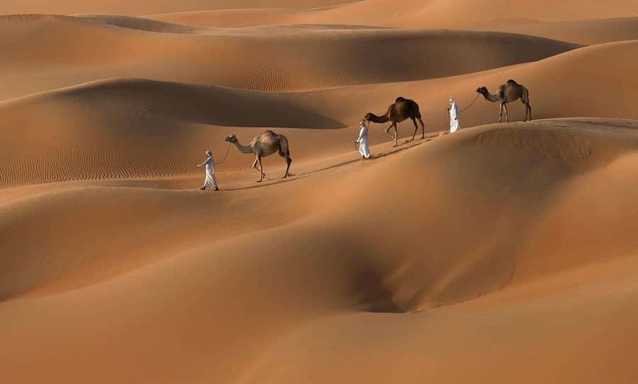 From Tangier : 4Days desert tours via chefchaoun and fes - Toudgha Gorge to Dades Valley: orange rock walls and real walking breaks