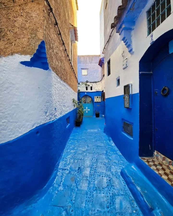 From Tangier: Asilah Tour with Tea Tasting & Camel Ride - A Shoreline Day from Tangier: Cap Spartel, Caves, Camel, and Assilah