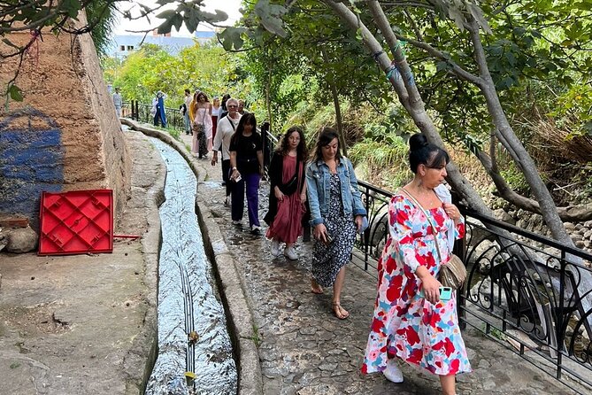 From Tangier: Day Trip to Chefchaouen and Akchour Waterfalls - Price and value: what $81.42 buys you (and what it doesn’t)