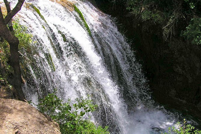 From Tangier: Day Trip to Chefchaouen and Akchour Waterfalls - Common snags (and how to avoid them)