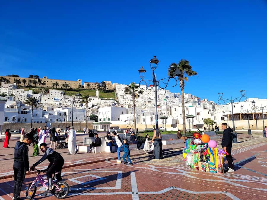 From Tangier: Day Trip to Tetouan with Local Guide - Old Medina time: guided lanes, Andalusian lines, and Moroccan details