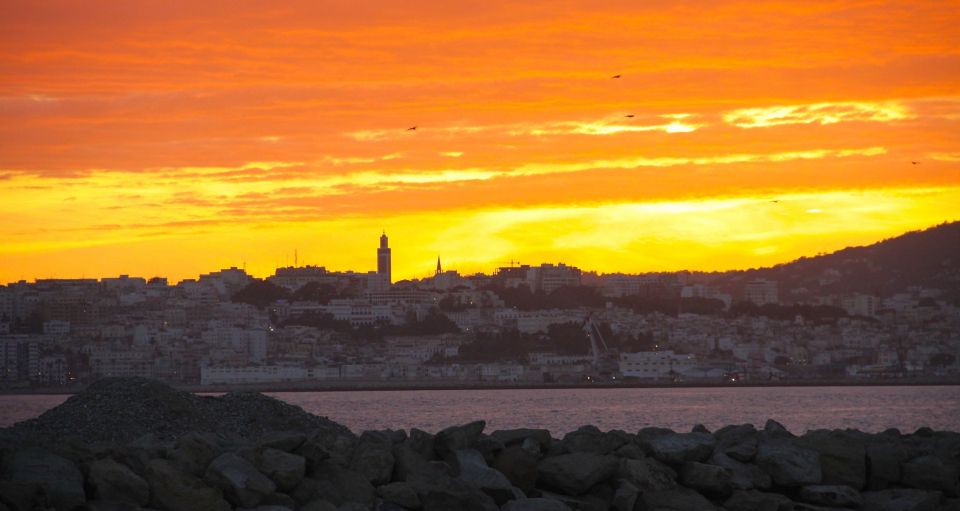 From Tarifa: Tangier Full-Day Trip with Lunch - Camel ride optional: fun if it’s your thing, skip if you want more free time