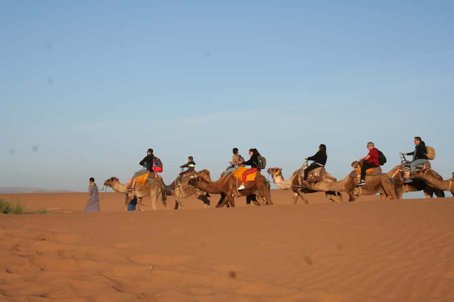From Zagora: 2-Day Desert Tour to Erg Chegaga - Who this tour fits best (and who might want something else)