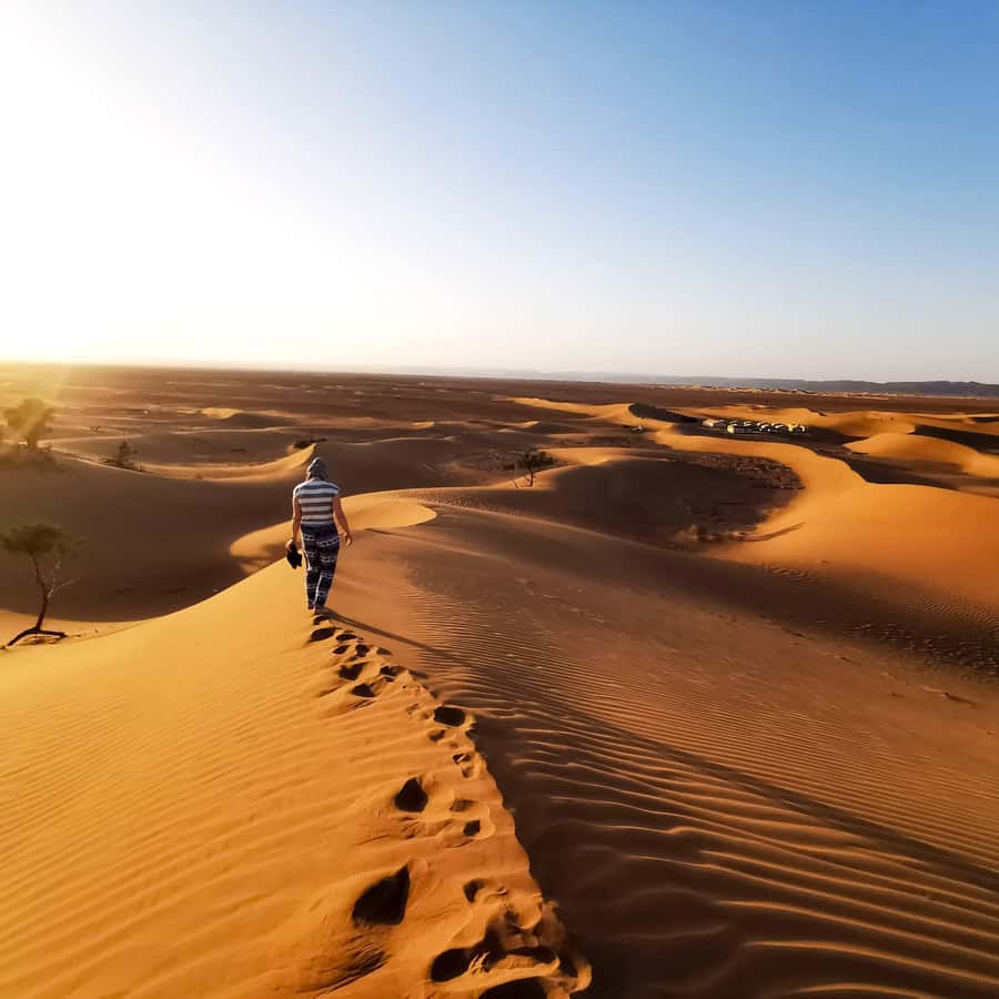 From Zagora: Overnight Desert Tour to Erg Chigaga Camel ride - Key things I think you’ll care about