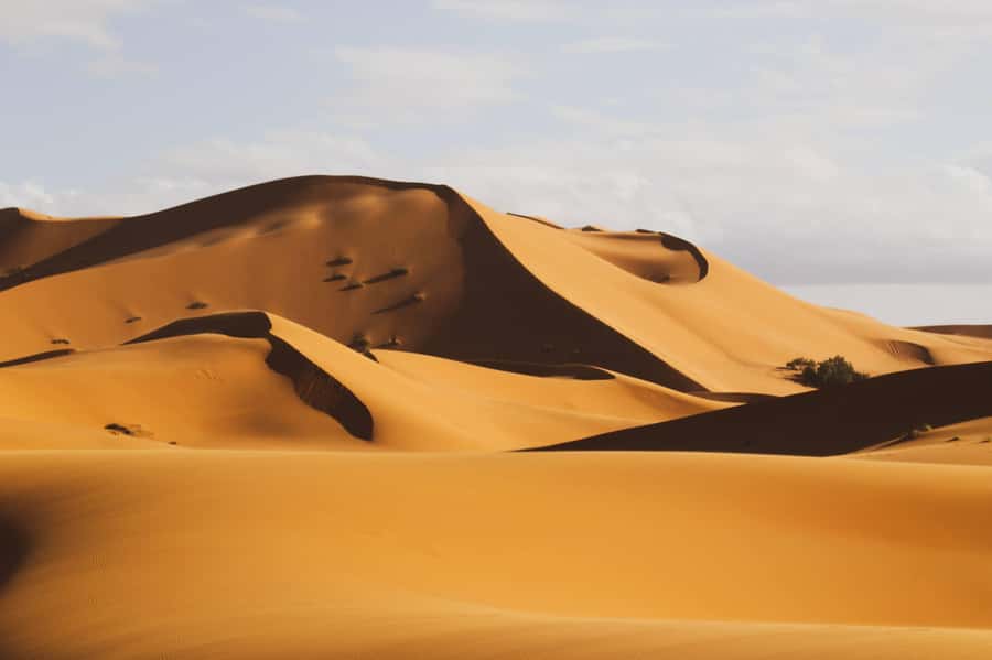 From Zagora: Overnight Desert Tour to Erg Chigaga Camel ride - Why Erg Chigaga feels like the real deal (even with a short trip)