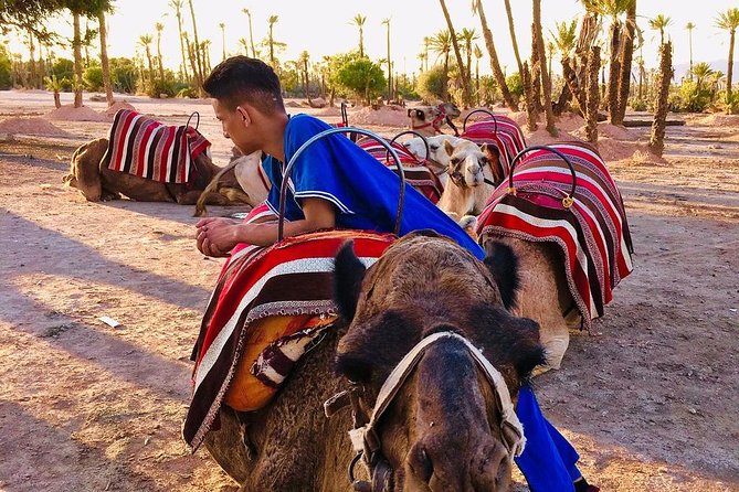 Full-day Agafay Desert and Atlas Mountain Tour - Price and Value: What You Get for Around $22