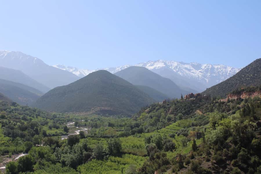 Full-Day Agafay Desert & Atlas Mountains Tour With Camels - Key Things to Know Before You Go