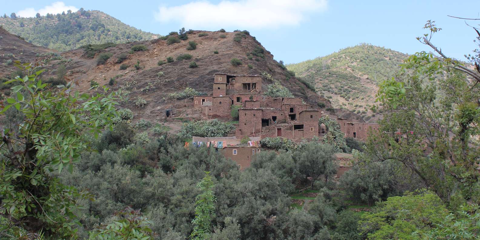 Full-Day Agafay Desert & Atlas Mountains Tour With Camels - Group Size, Timing, and Comfort: The Practical Side of an 8-Hour Day