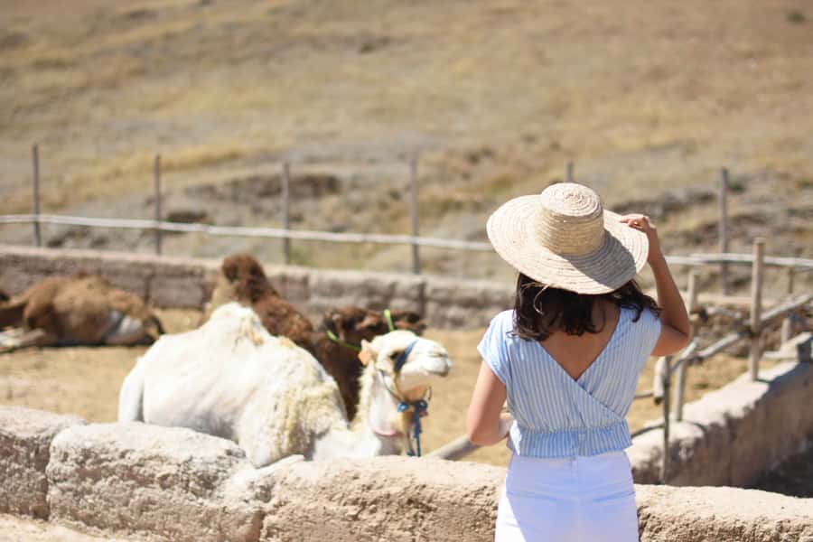 Full-Day Agafay Desert & Atlas Mountains Tour With Camels - The Real Point of This Day Trip: Desert Views Plus Real Mountain Culture