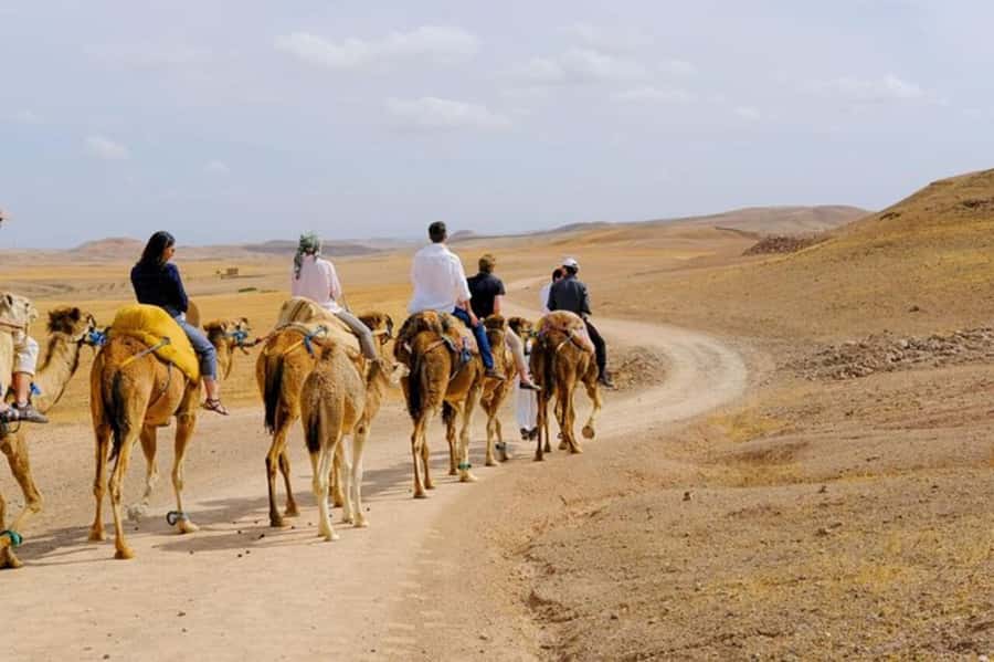 Full-Day Agafay Desert & Atlas Mountains Tour With Camels - Kik Plateau to Agafay Desert: What the Camel Ride Is Like