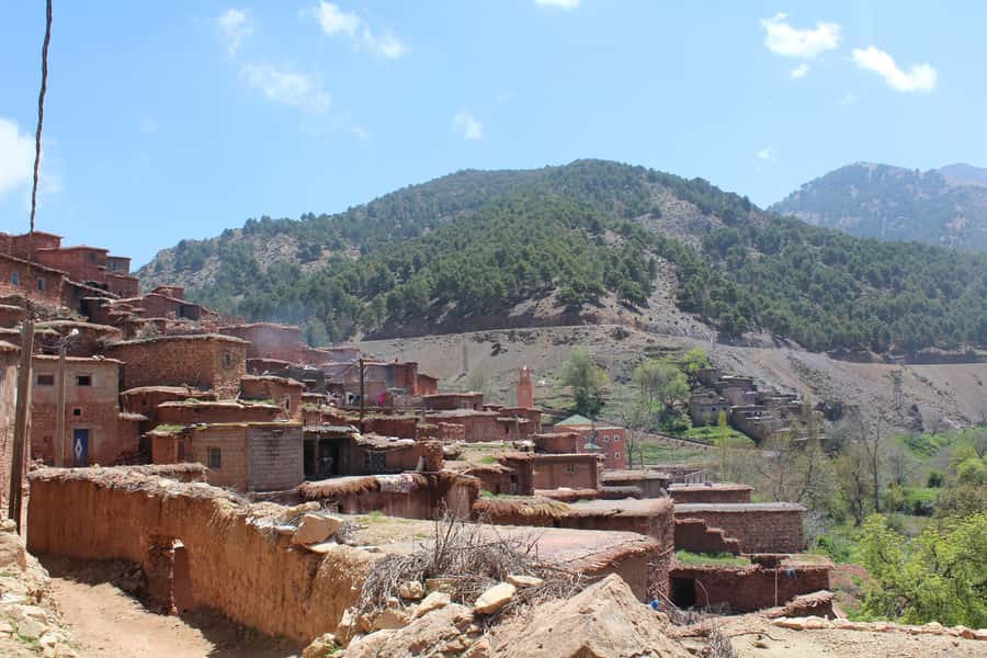 Full-Day Agafay Desert & Atlas Mountains Tour With Camels - Argan Oil Cooperative Stop: Learn the Craft, Then Decide About Shopping