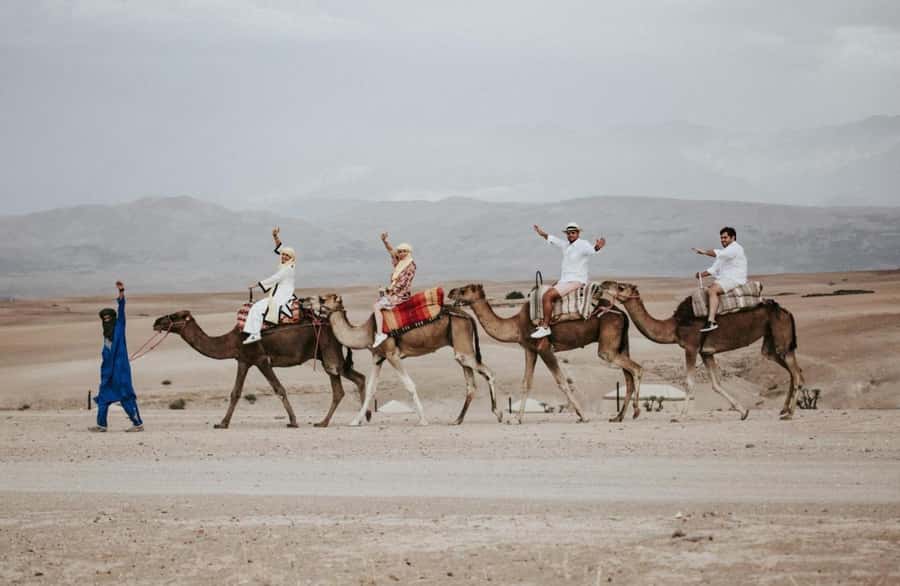 Full-Day Agafay Desert & Atlas Mountains Tour With Camels - High Atlas Mountains: Toubkal Views and Winding Dirt Roads