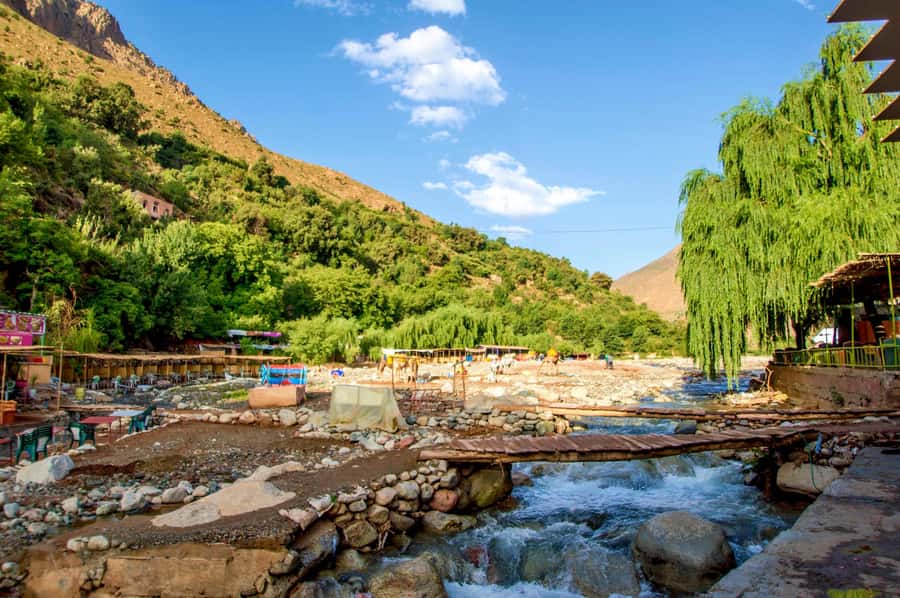 Full-Day Agafay Desert & Atlas Mountains Tour With Camels - Berber Family Lunch: Where the Day Becomes Personal