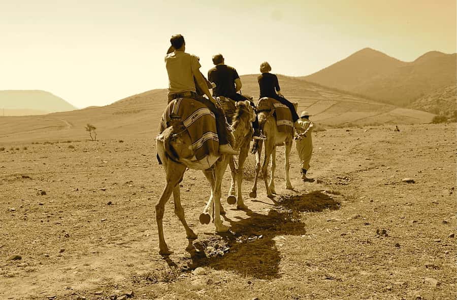Full-Day Agafay Desert & Atlas Mountains Tour With Camels - The Waterfall Walk: Worth It, But Respect the Slope