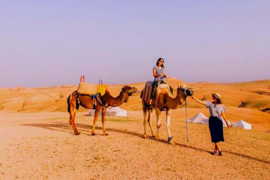 Full-Day Agafay Desert & Atlas Mountains Tour With Camels - Price and Value: Why This Costs So Little (and How to Get More From It)