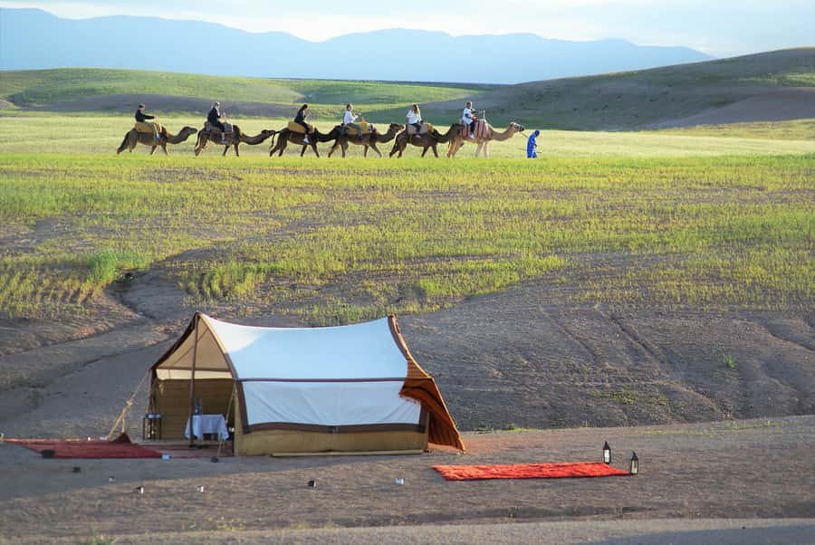 Full-Day Agafay Desert & Atlas Mountains Tour With Camels - Marrakech Pickup, Then Straight Into the Mountains