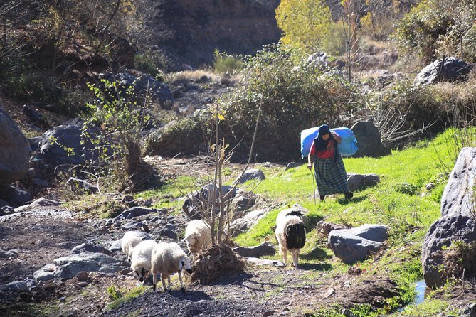 Full-Day Atlas Mountains & Imlil Valley Adventure from Marrakech - A Day Trip That Actually Feels Like Atlas Country