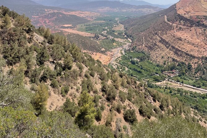 Full Day Atlas Mountains Private Day Tour From Marrakech - Asni fruit trees and High Atlas snow views