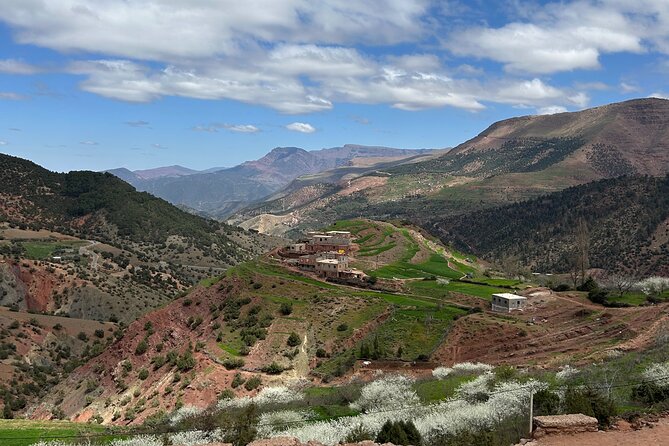 Full Day Atlas Mountains Private Day Tour From Marrakech - Who this tour fits best (and who should skip it)