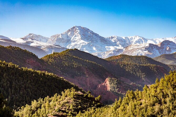 Full Day Berber Villages and Atlas Mountains 4x4 Adventure - Tahanaout village: grain mills, mint tea, and the calm pace that makes it real