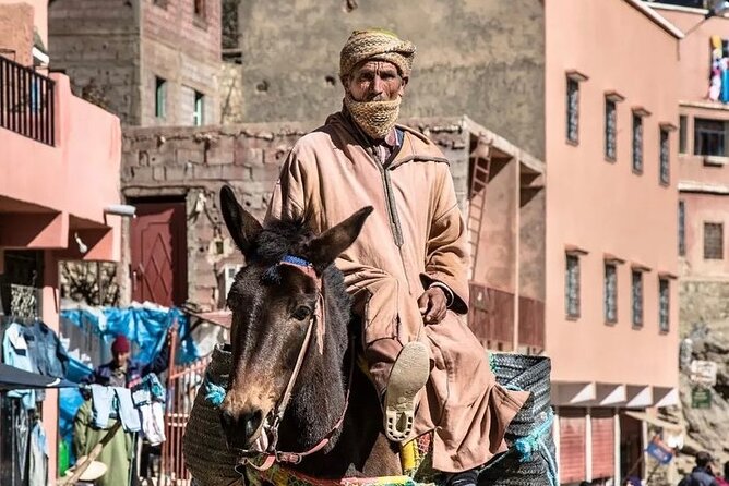 Full Day Discovery of Ouzoud Waterfalls from Marrakech - Who This Ouzoud Day Trip Fits Best (and Who Should Rethink It)