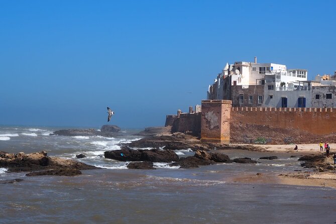 Full Day Essaouira Atlantic Coast City Guided Tour from Marrakech - Arriving in Essaouira: medina streets, ocher walls, and square time