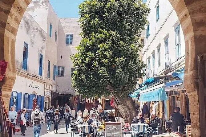 Full Day Excursion from Marrakech to Essouira - Essaouira arrival: getting your bearings fast in the medina
