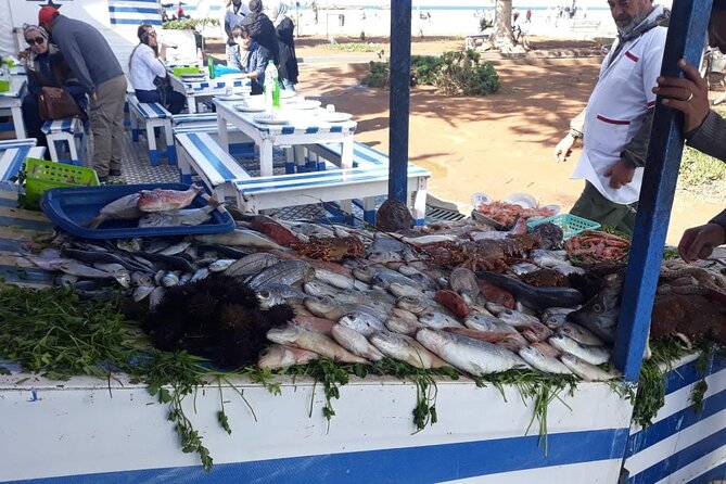 Full-Day Excursion to Essaouira from Marrakech - How You’ll Spend Your Time in Essaouira (It’s More Than a Photo Stop)