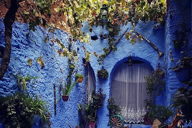 Full Day Guided Tour to Chefchaouen and The Panoramic of Tangier - What to Do About Lunch (Because It’s Not Included)