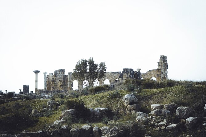 Full-Day Historical Tour to Meknes Volubilis and Moulay Idriss - Stop Three: Meknes Imperial Sights, Medina Walks, and Hispano-Moorish Details