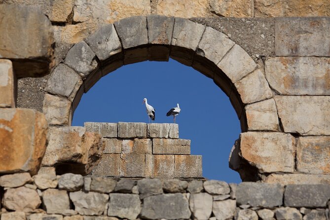 Full-Day Historical Tour to Meknes Volubilis and Moulay Idriss - Who This Tour Fits Best (and Who Might Want Something Else)