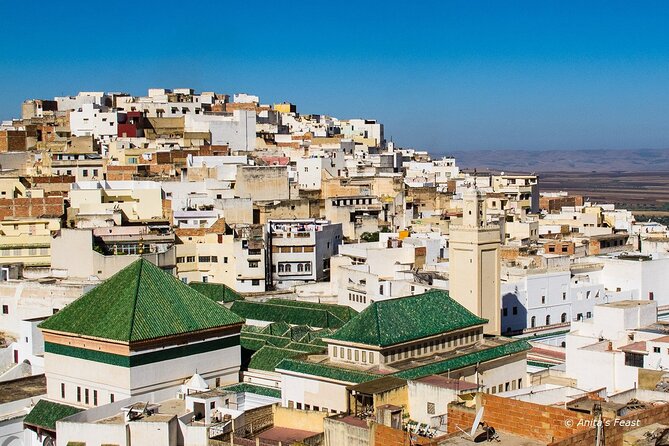 Full-Day Historical Tour to Meknes Volubilis and Moulay Idriss - Stop One: Volubilis UNESCO Roman Ruins and the Mosaics to Find