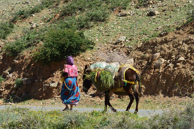 Full-Day Private Atlas Mountains and Agafay Desert Tour - From Marrakech at 9:00 a.m.: private pickup and a calmer pace