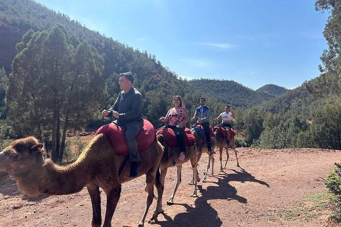 Full-Day Private Atlas Tour from Marrakech to Ourika Valley. - Moroccan lunch reality check: tasty food, but budget for it