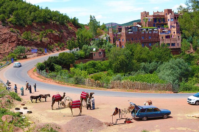 Full Day Private Berbere Experience in High Atlas - Visiting a Berber house: tea, everyday life, and local stories