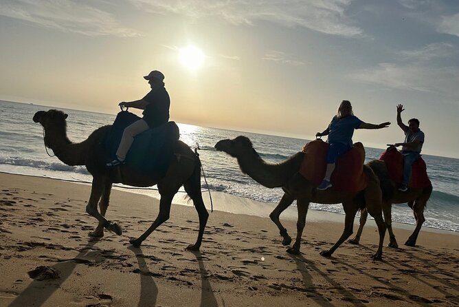 Full-Day Private Guided Tour - Getting Oriented: Pickup, Transport, and How the Day Flows