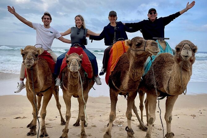 Full-Day Private Guided Tour in Tangier - How a private guide changes Tangier (for the better)