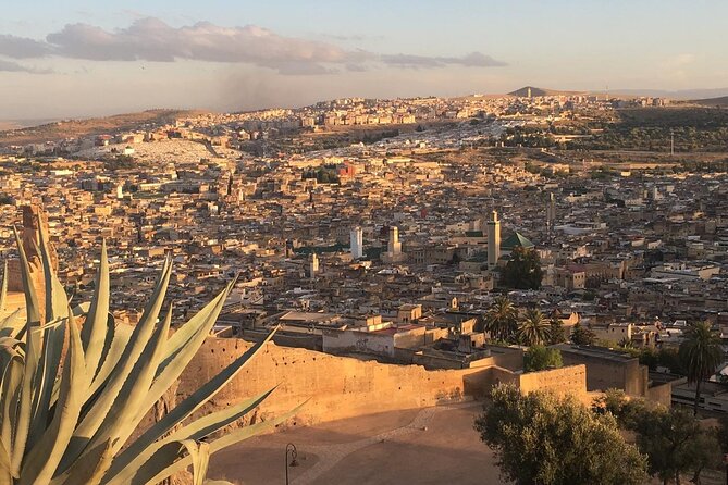 Full -Day Private Guided Walking Tour Of Fez Medina - Who this tour is best for (and who should choose something else)