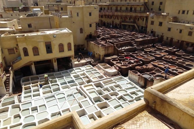 Full-Day Private Tour of Fez - Jardin Jnan Sbil and a break from stone and tile