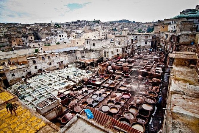 Full-Day Private Tour of Fez - Entering Fez el-Bali: mosques, gates, fountains, and the Mellah feel