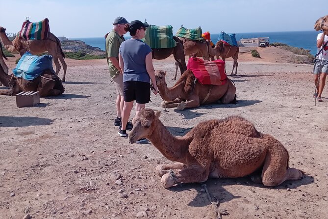 full day private tour of tangier from the cruise ship pick up - Perdicaris Park and Cap Spartel: A Coastal Break That’s Worth the Time