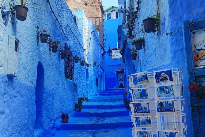 Full Day Private Tour to Blue City Chefchaouen from Tanger - Price and value: is $102.21 fair for a private day?