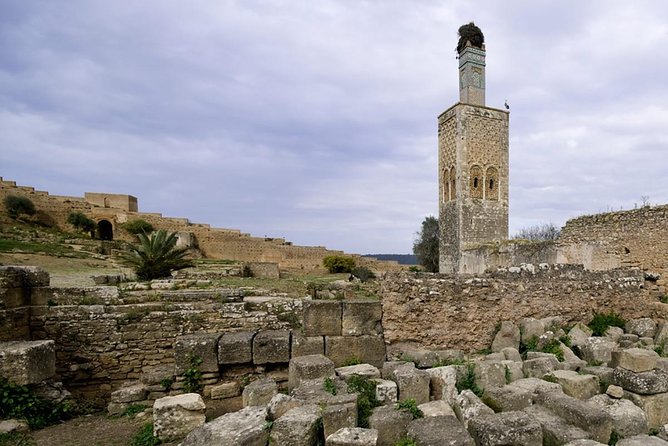 Full-Day Private Tour to Rabat from Casablanca - The drive from Casablanca: a stress-free start