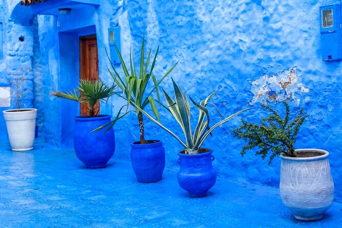 Full Day Private Trip to Chefchaouen the Blue City from Tangier - Why Chefchaouen hits harder with a private guide