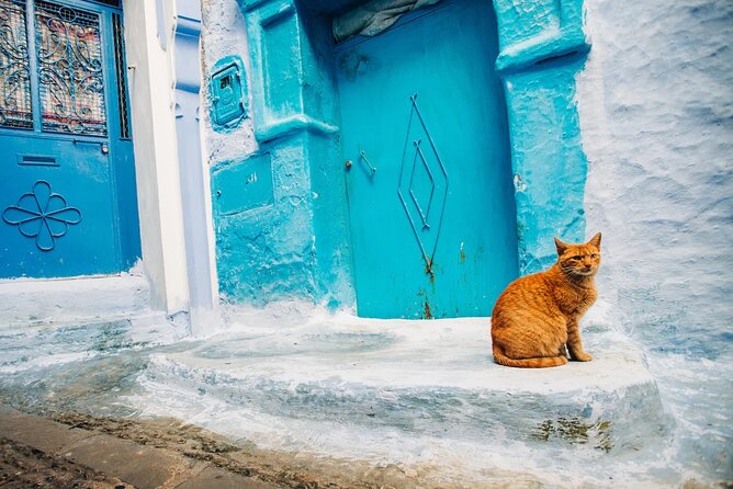 Full Day Private Trip to Chefchaouen the Blue City from Tangier - The sights that anchor a great Chefchaouen day
