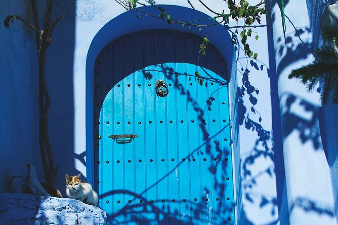 Full Day Private Trip to Chefchaouen the Blue City from Tangier - Lunch break plus mint tea with a panoramic view