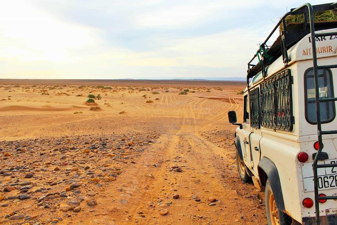Full-Day Safari Small Desert With Lunch - Fishermen Village and Atlantic Views: Where the Coast Gets Real
