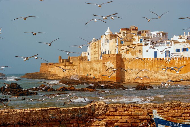 Full Day Shared Tour in Essaouira - Essaouira Versus Marrakech: The feeling you want in one day