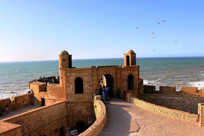 Full Day Shared Tour in Essaouira - Essaouira beach for 2 hours: what you can actually do with wind and sand